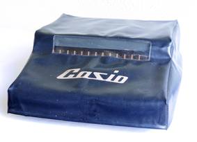 P1000870-stkas.jpg